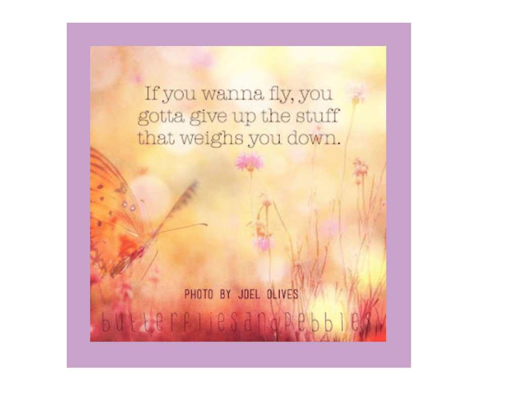A photoshopped or filtered photo with a heavily saturated warm pastel color palette, featuring little spindly pink flowers, an orange butterfly on the left of the image, and some kind of light-colored circles that may be out-of-focus dandelion fluff or dust or sunlight reflections. The gray serif font in the middle reads, "If you wanna fly, you gotta give up the stuff that weighs you down." It also attributes the work to a photograph, saying "Photo by Joel Olives" in a new, darker gray sanserif font at the bottom, and lists what is presumably the name of a site or company, "Butterflies and Pebbles," in a third sanserif font across the bottom of the entire image.