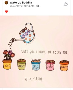 A cartoon watering can hovers over a row of cartoon flower pots labelled 'love,' 'worry,' 'self-doubt,' 'guilt,' and 'anxiety.' The 'love' pot is directly under the watering can and is being sprinkled with water droplets, and has three pink daisies growing out of it. The other four pots contain various kinds of wilty, dying leaves. The black all-caps handwritten font reads, "What you choose to focus on... will grow." The sharer is "Wake Up Buddha," and in small gray text underneath the watering can it says @journey.to.wellness.